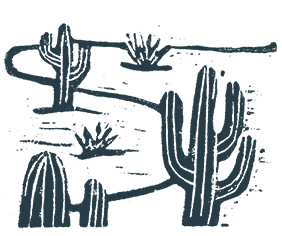 A simplistic, monochrome illustration of a desert landscape features multiple cacti and a winding path, reminiscent of the serene surroundings found near Saddleback in Peoria, AZ.